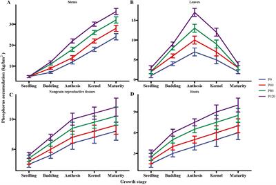 Oilseed flax cultivation: optimizing phosphorus use for enhanced growth and soil health